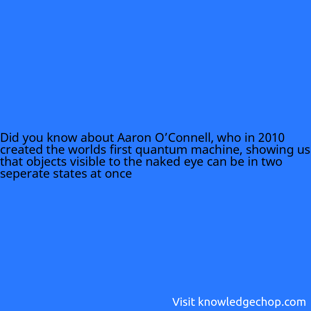 About Aaron OConnell Who In 2010 Created The Worlds First Quantum