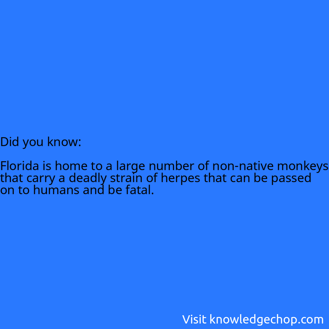   Florida is home to a large number of non-native monkeys that carry a deadly strain of herpes that can be passed on to humans and be fatal.