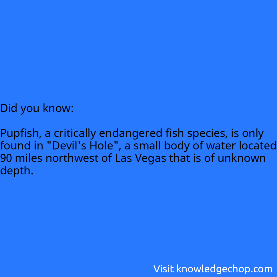   Pupfish, a critically endangered fish species, is only found in 