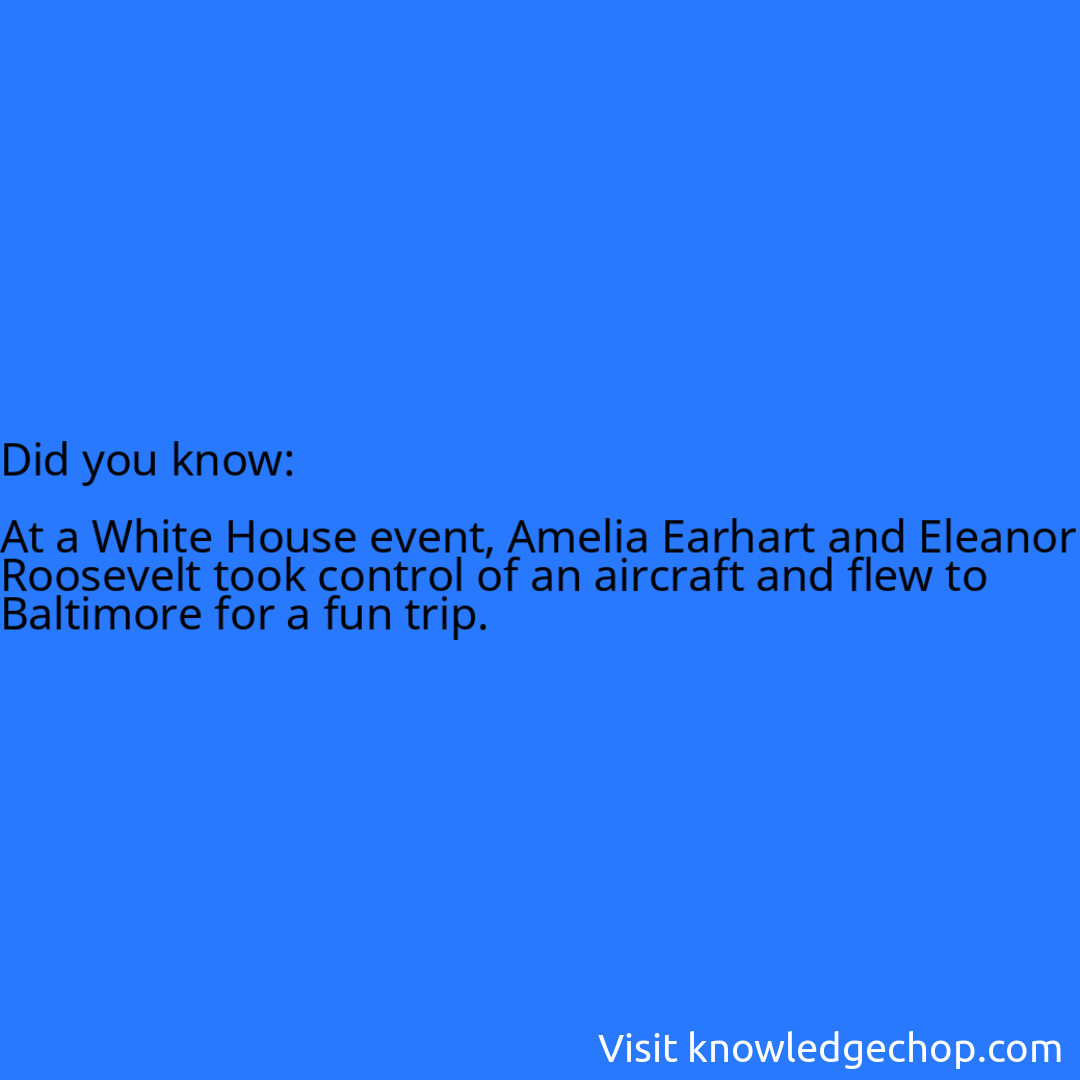   At a White House event, Amelia Earhart and Eleanor Roosevelt took control of an aircraft and flew to Baltimore for a fun trip.