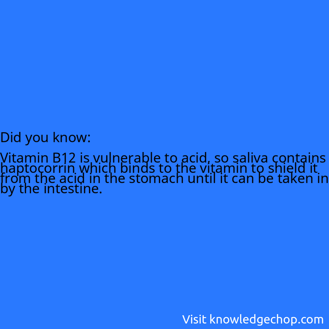   Vitamin B12 is vulnerable to acid, so saliva contains haptocorrin which binds to the vitamin to shield it from the acid in the stomach until it can be taken in by the intestine.
