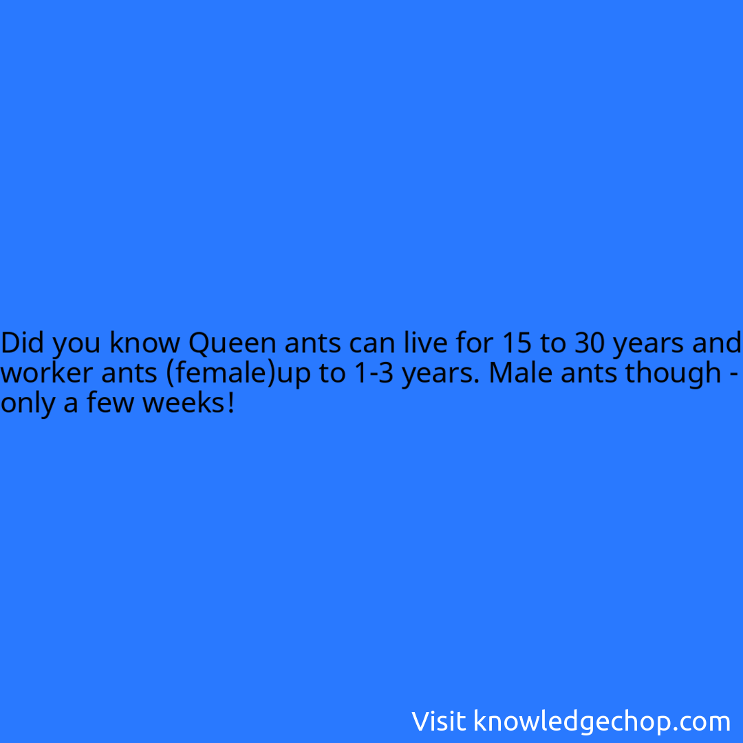 Queen ants can live for 15 to 30 years and worker ants (female)up to 1-3 years. Male ants though - only a few weeks!