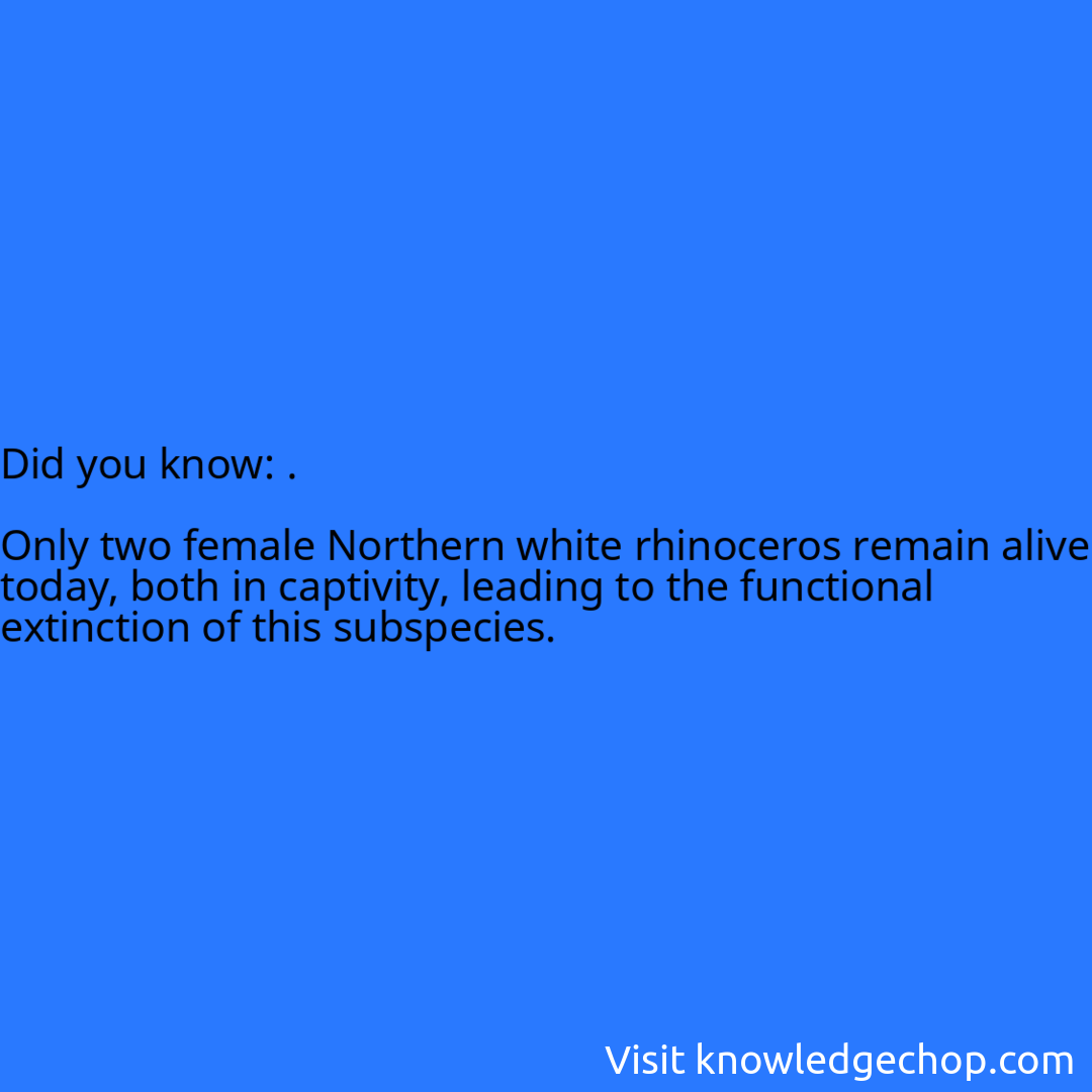 .  Only two female Northern white rhinoceros remain alive today, both in captivity, leading to the functional extinction of this subspecies.