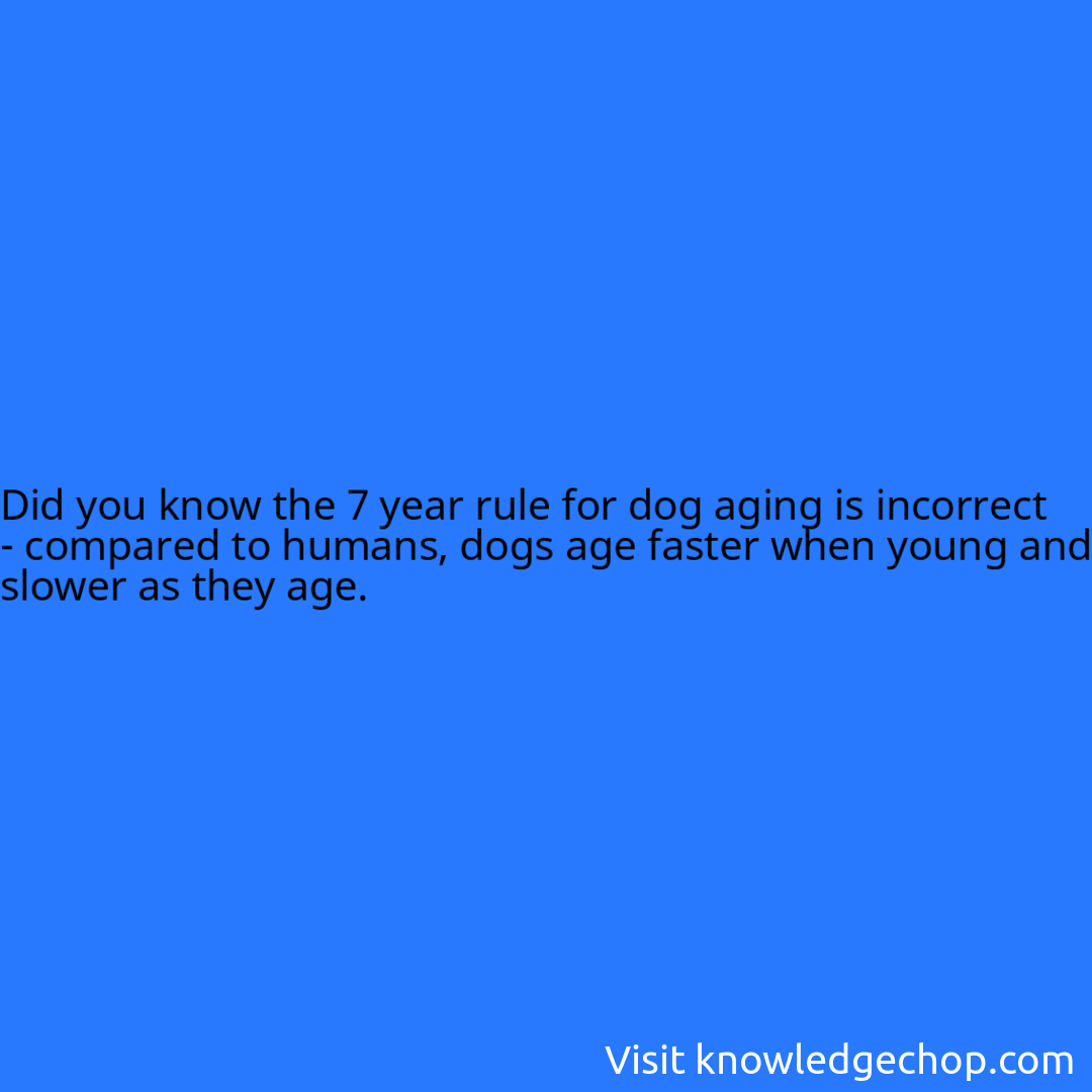 the-7-year-rule-for-dog-aging-is-incorrect-compared-to-humans-dogs