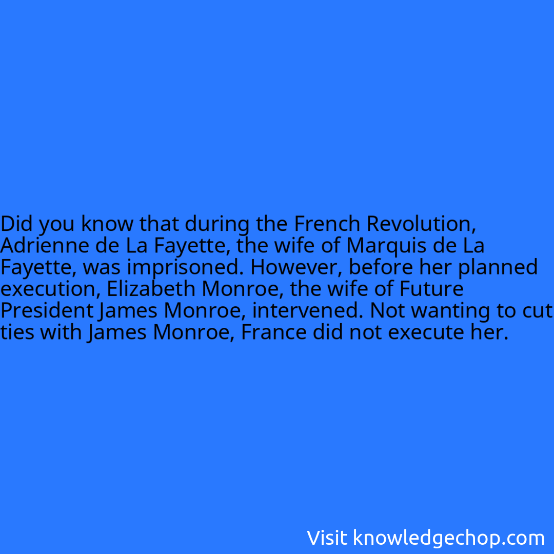 that during the French Revolution, Adrienne de La Fayette, the wife of Marquis de La Fayette, was imprisoned. However, before her planned execution, Elizabeth Monroe, the wife of Future President James Monroe, intervened. Not wanting to cut ties with James Monroe, France did not execute her.