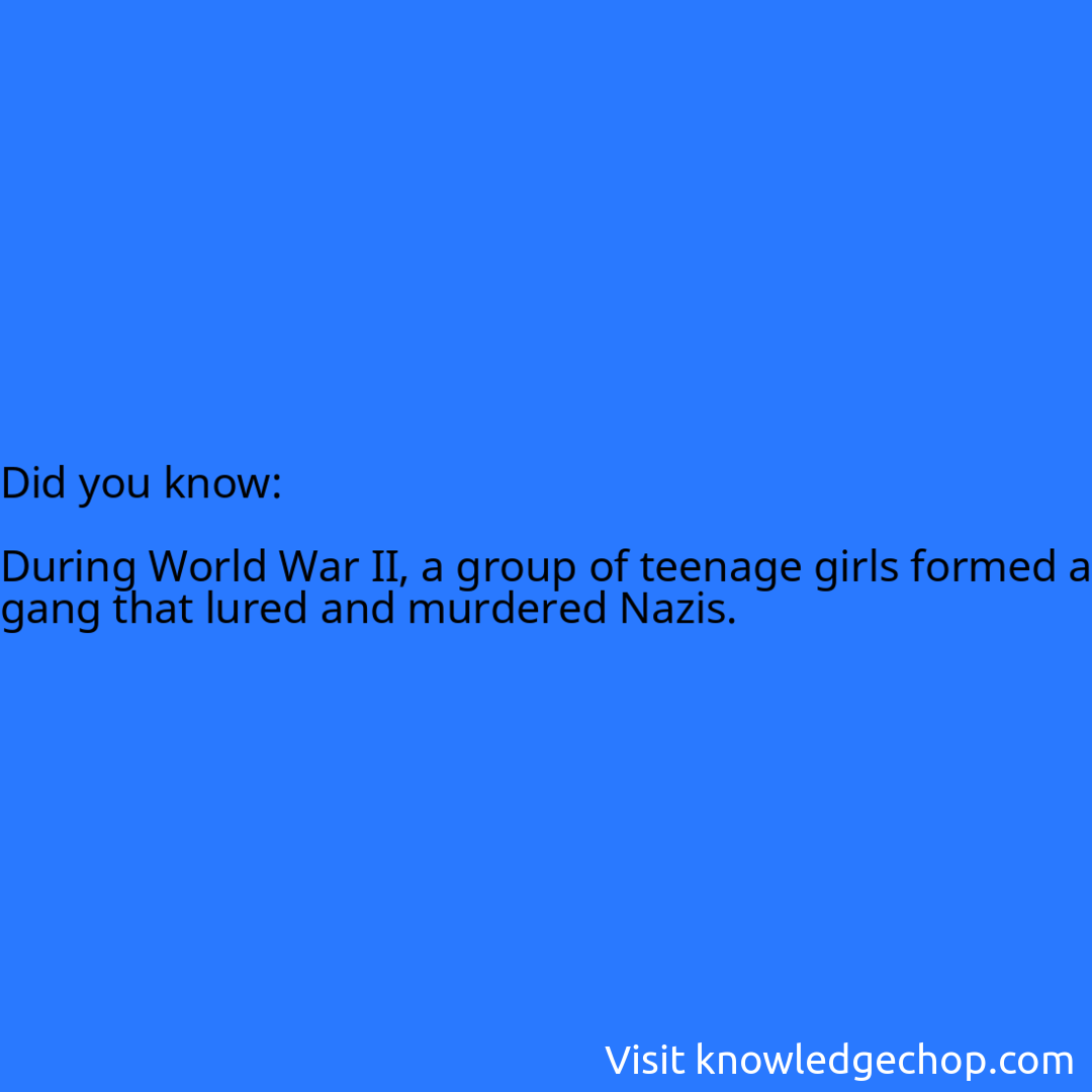   During World War II, a group of teenage girls formed a gang that lured and murdered Nazis.