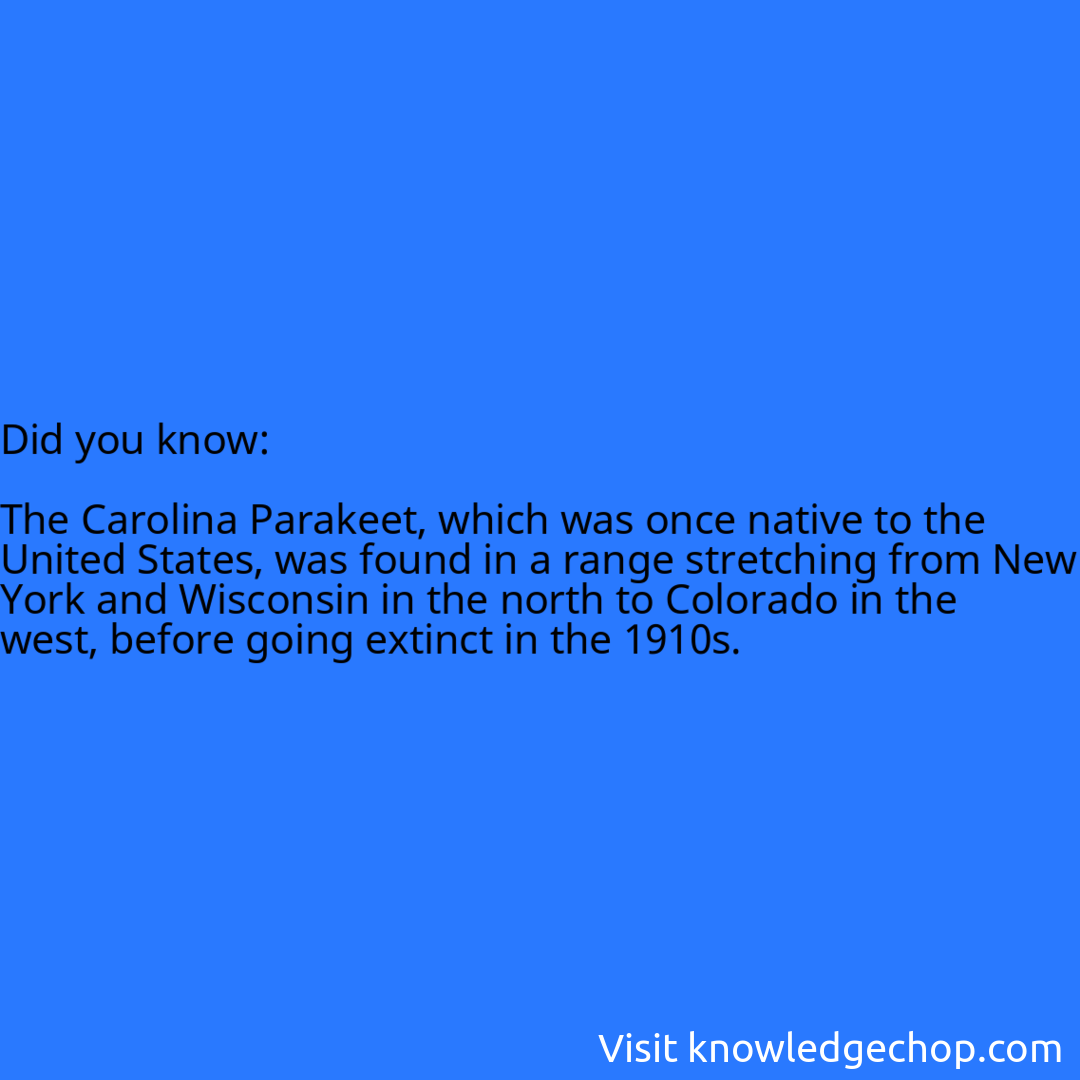   The Carolina Parakeet, which was once native to the United States, was found in a range stretching from New York and Wisconsin in the north to Colorado in the west, before going extinct in the 1910s.