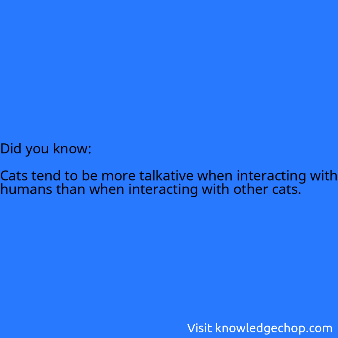   Cats tend to be more talkative when interacting with humans than when interacting with other cats.