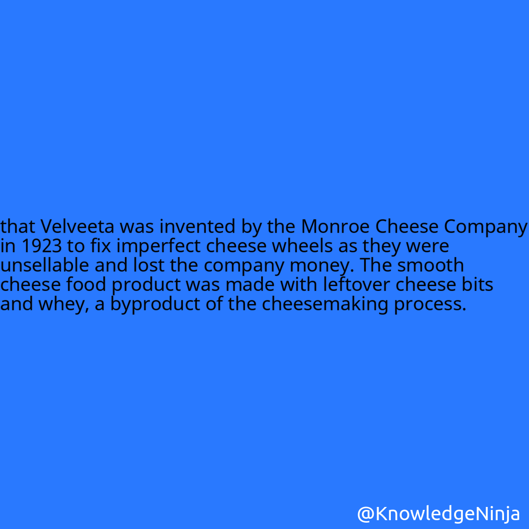 
that Velveeta was invented by the Monroe Cheese Company in 1923 to fix imperfect cheese wheels as they were unsellable and lost the company money. The smooth cheese food product was made with leftover cheese bits and whey, a byproduct of the cheesemaking process.