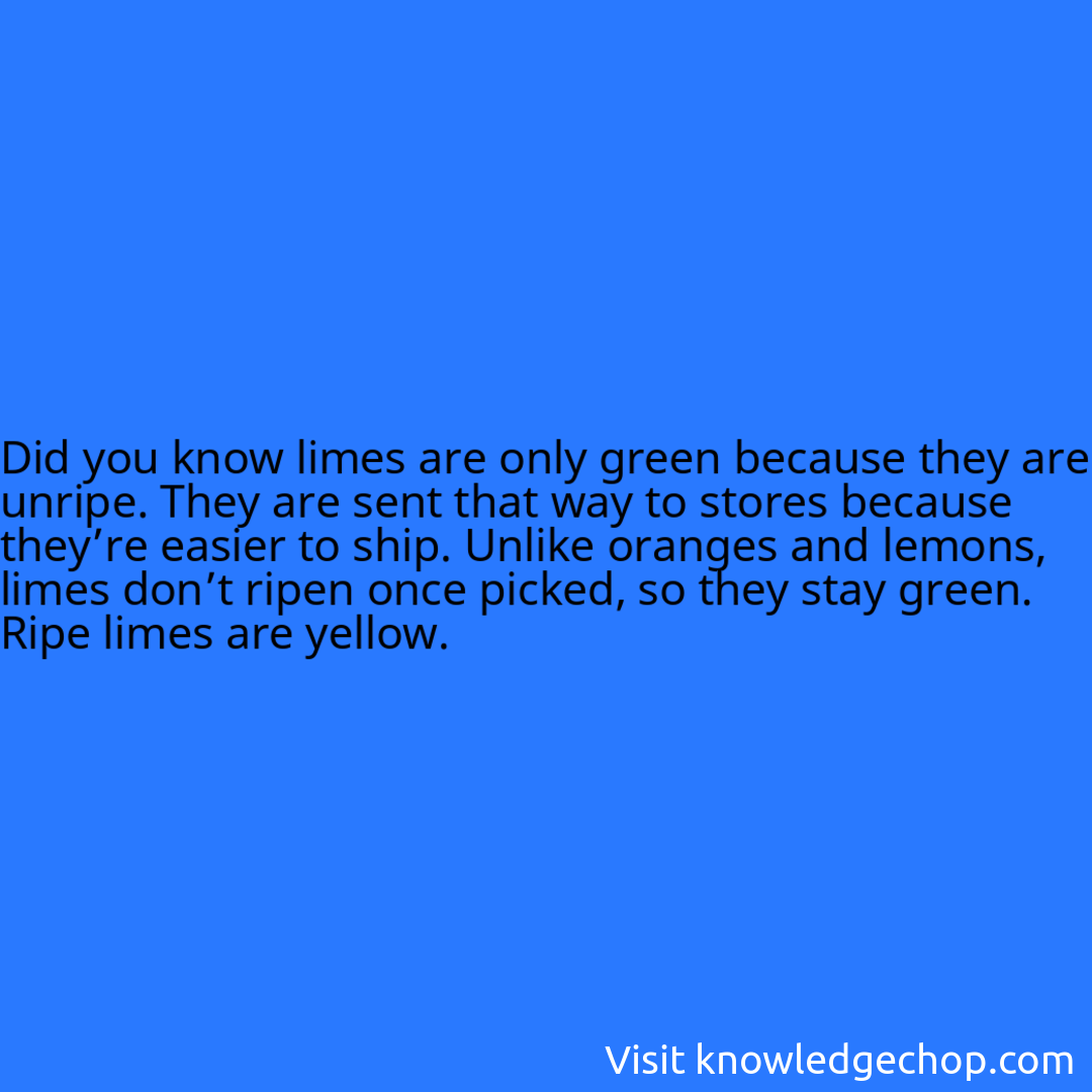 limes are only green because they are unripe. They are sent that way to stores because they’re easier to ship. Unlike oranges and lemons, limes don’t ripen once picked, so they stay green. Ripe limes are yellow.