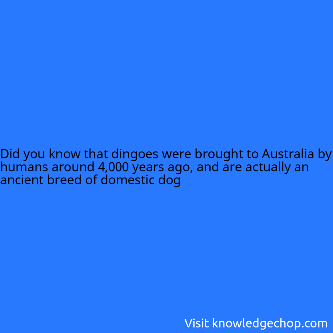 that dingoes were brought to Australia by humans around 4,000 years ago
