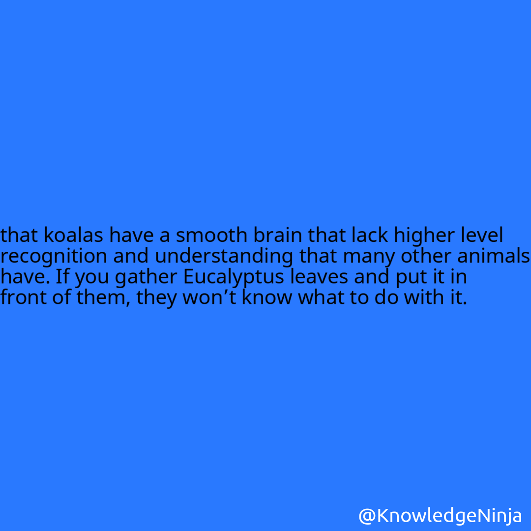 
that koalas have a smooth brain that lack higher level recognition and understanding that many other animals have. If you gather Eucalyptus leaves and put it in front of them, they won’t know what to do with it.
