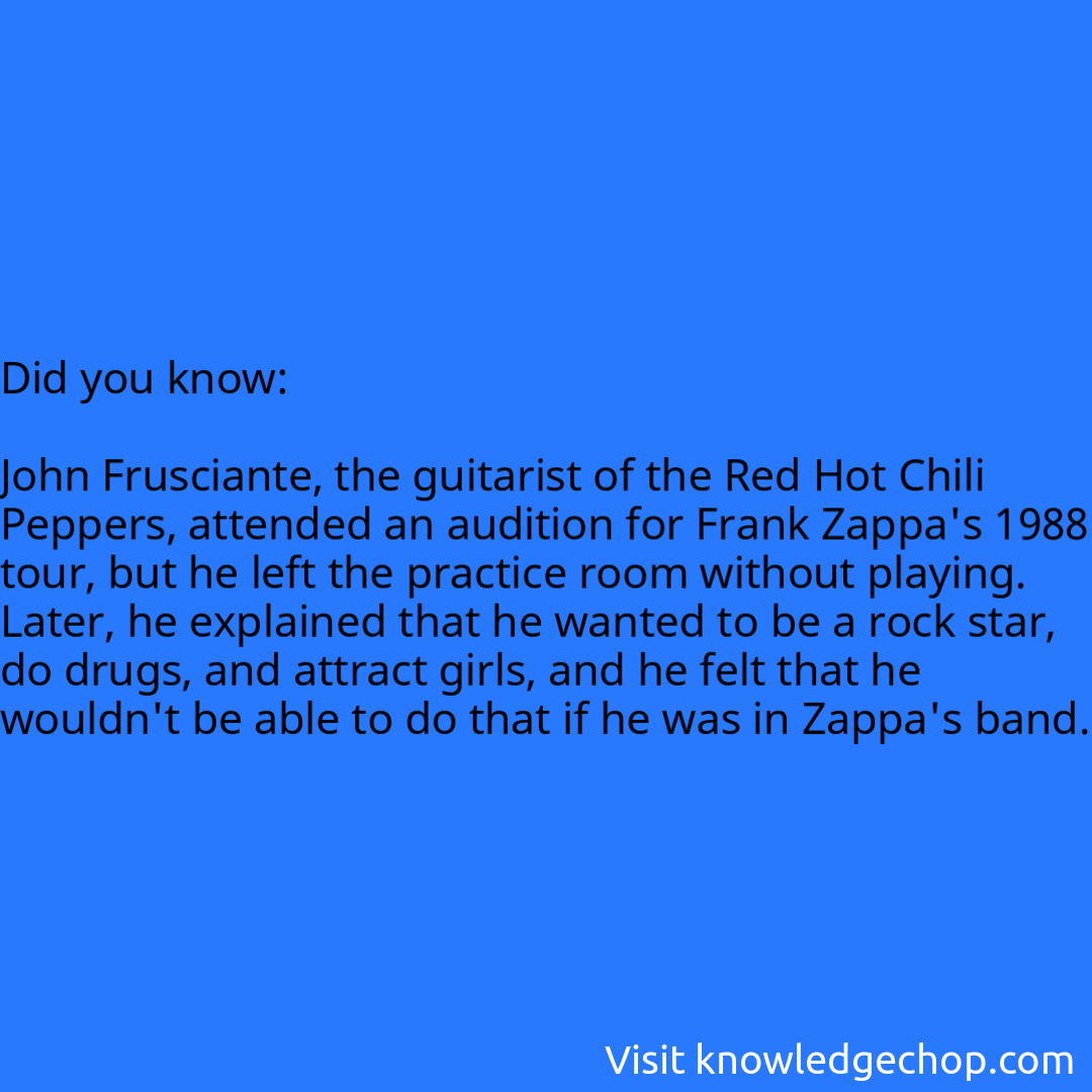   John Frusciante, the guitarist of the Red Hot Chili Peppers, attended an audition for Frank Zappa's 1988 tour, but he left the practice room without playing. Later, he explained that he wanted to be a rock star, do drugs, and attract girls, and he felt that he wouldn't be able to do that if he was in Zappa's band.