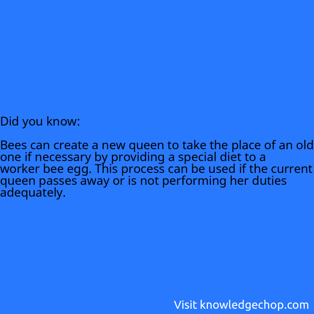   Bees can create a new queen to take the place of an old one if necessary by providing a special diet to a worker bee egg. This process can be used if the current queen passes away or is not performing her duties adequately.