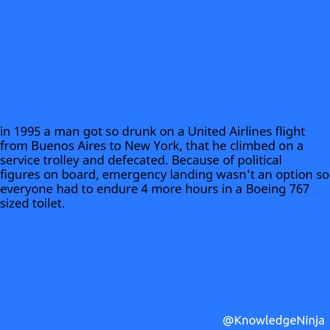 
in 1995 a man got so drunk on a United Airlines flight from Buenos Aires to New York, that he climbed on a service trolley and defecated. Because of political figures on board, emergency landing wasn't an option so everyone had to endure 4 more hours in a Boeing 767 sized toilet.