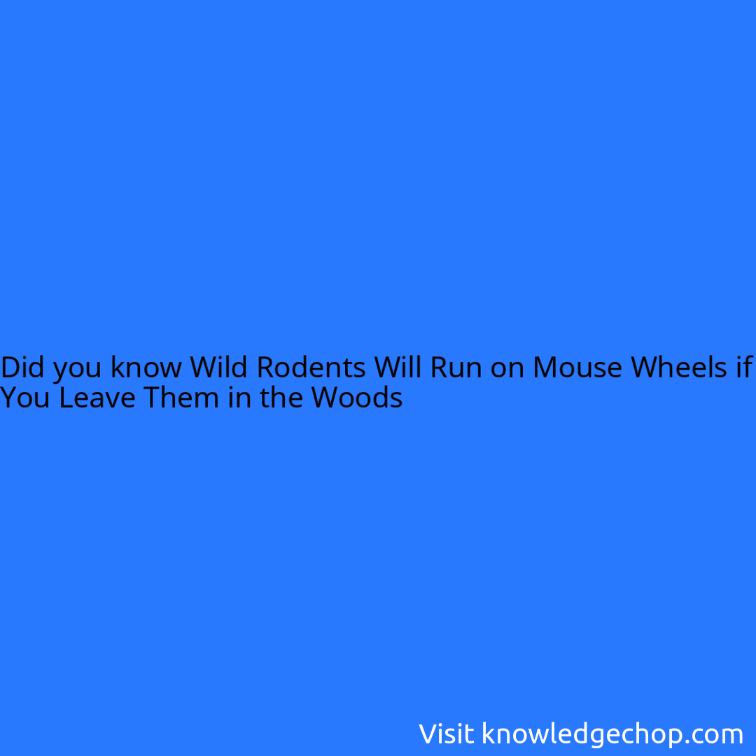 Wild Rodents Will Run on Mouse Wheels if You Leave Them in the Woods