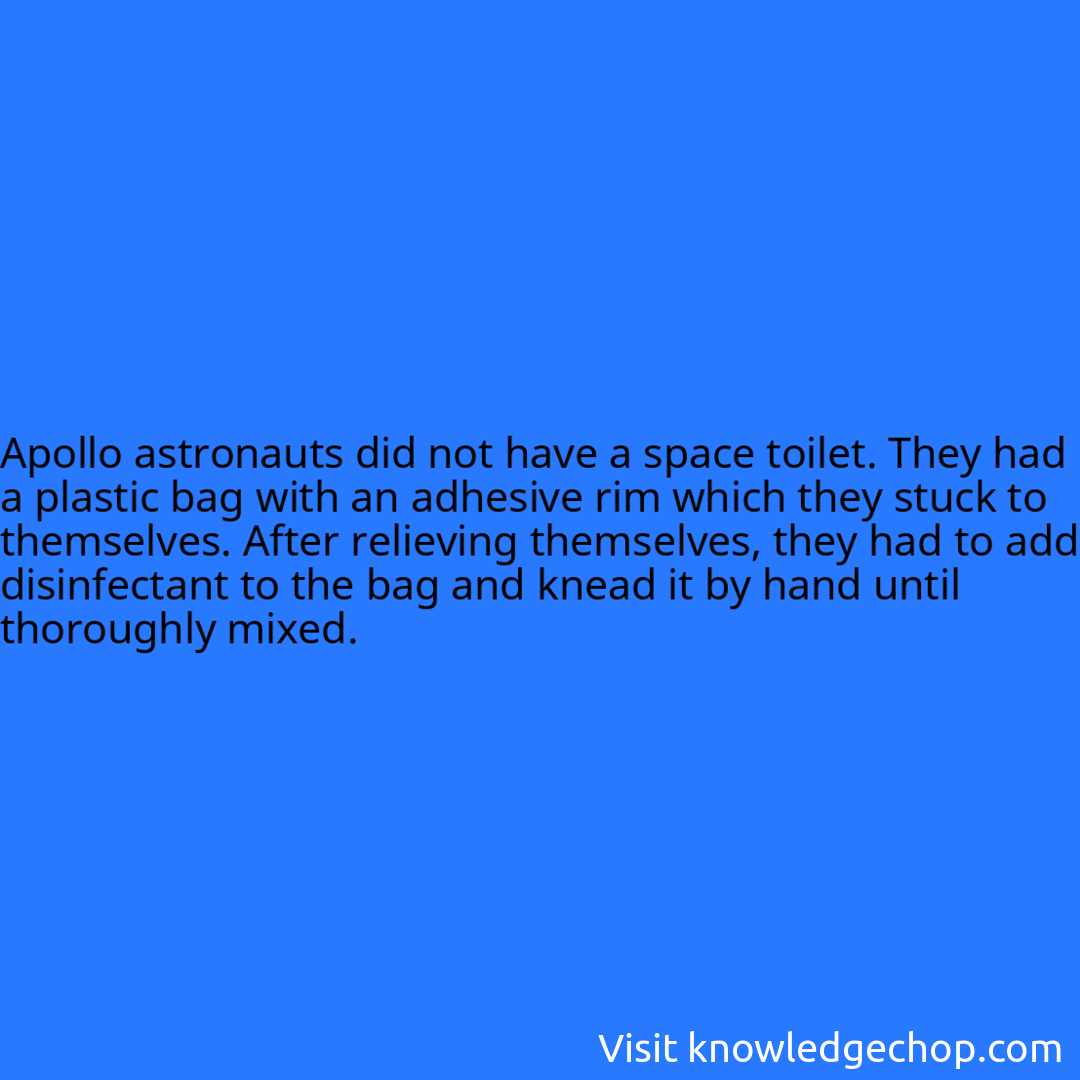 Apollo astronauts did not have a space toilet. They had a plastic bag with an adhesive rim which they stuck to themselves. After relieving themselves, they had to add disinfectant to the bag and knead it by hand until thoroughly mixed.
