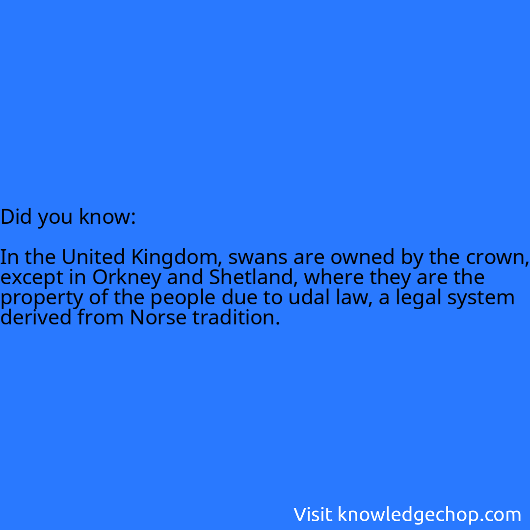   In the United Kingdom, swans are owned by the crown, except in Orkney and Shetland, where they are the property of the people due to udal law, a legal system derived from Norse tradition.