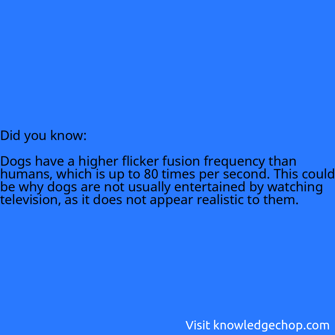  Dogs have a higher flicker fusion frequency than humans, which is up to 80 times per second. This could be why dogs are not usually entertained by watching television, as it does not appear realistic to them.