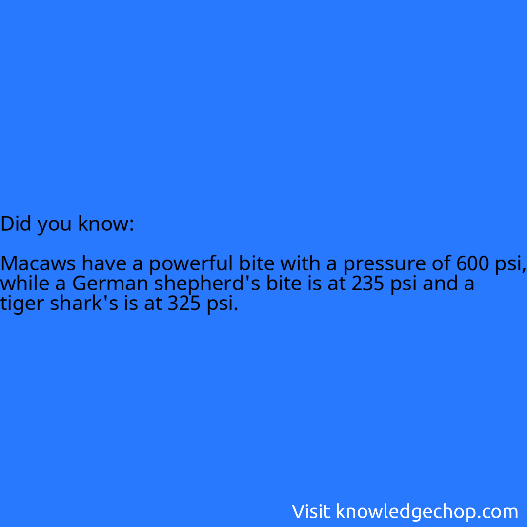   Macaws have a powerful bite with a pressure of 600 psi, while a German shepherd's bite is at 235 psi and a tiger shark's is at 325 psi.