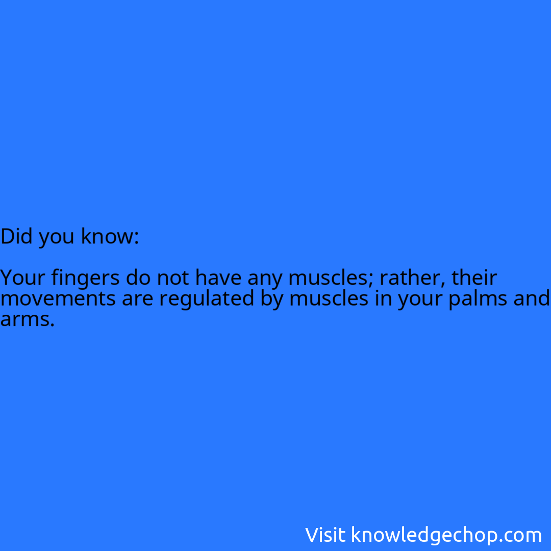   Your fingers do not have any muscles; rather, their movements are regulated by muscles in your palms and arms.