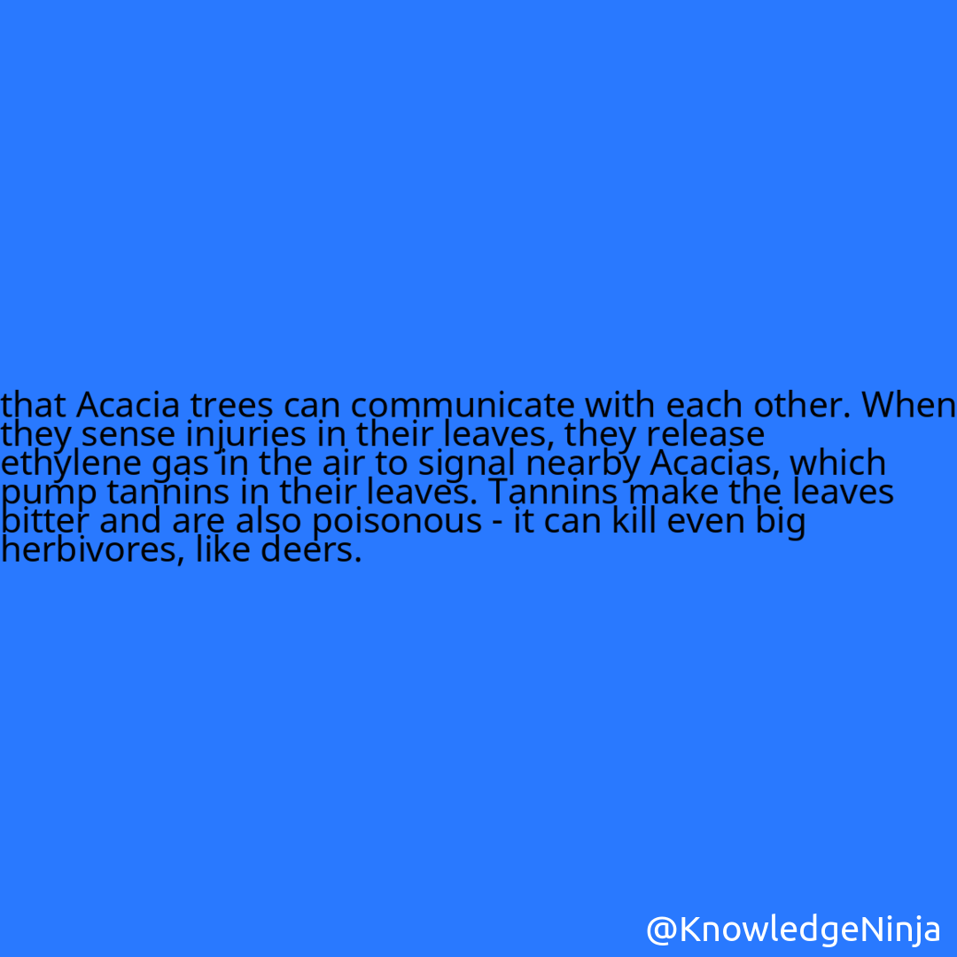 
that Acacia trees can communicate with each other. When they sense injuries in their leaves, they release ethylene gas in the air to signal nearby Acacias, which pump tannins in their leaves. Tannins make the leaves bitter and are also poisonous - it can kill even big herbivores, like deers.