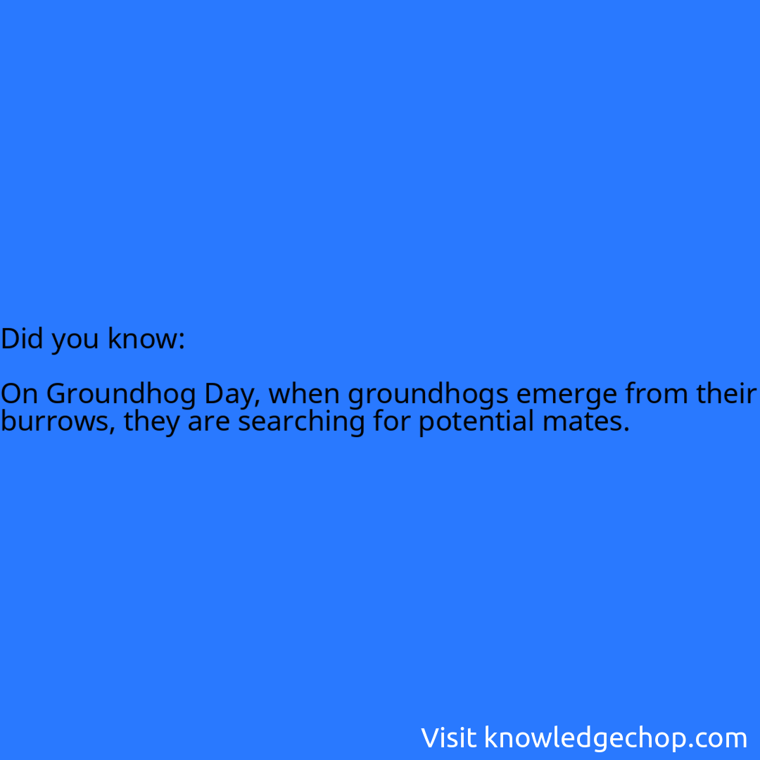   On Groundhog Day, when groundhogs emerge from their burrows, they are searching for potential mates.
