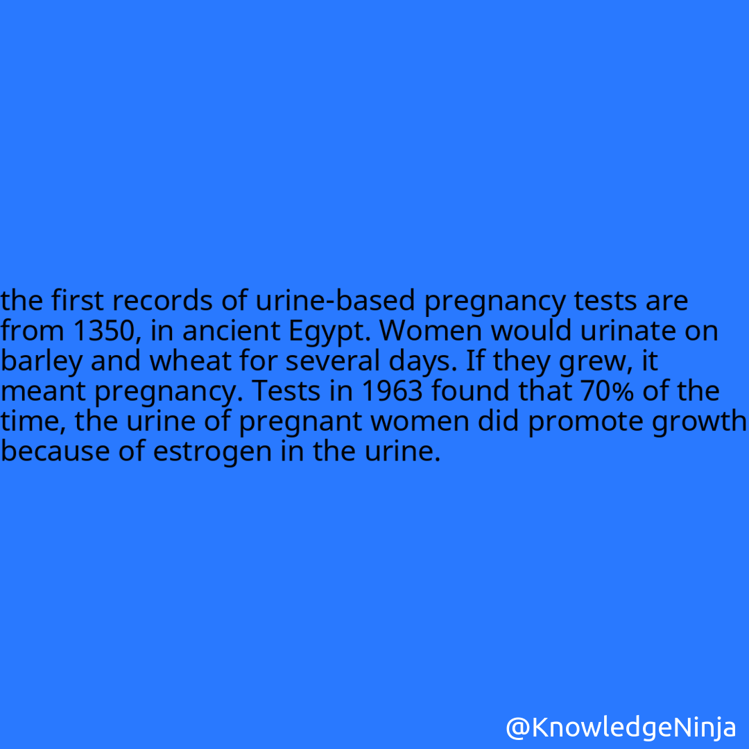 
the first records of urine-based pregnancy tests are from 1350, in ancient Egypt. Women would urinate on barley and wheat for several days. If they grew, it meant pregnancy. Tests in 1963 found that 70% of the time, the urine of pregnant women did promote growth because of estrogen in the urine.