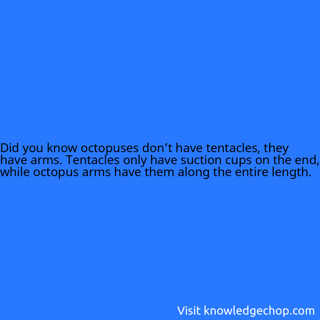 octopuses don’t have tentacles, they have arms. Tentacles only have suction cups on the end, while octopus arms have them along the entire length.