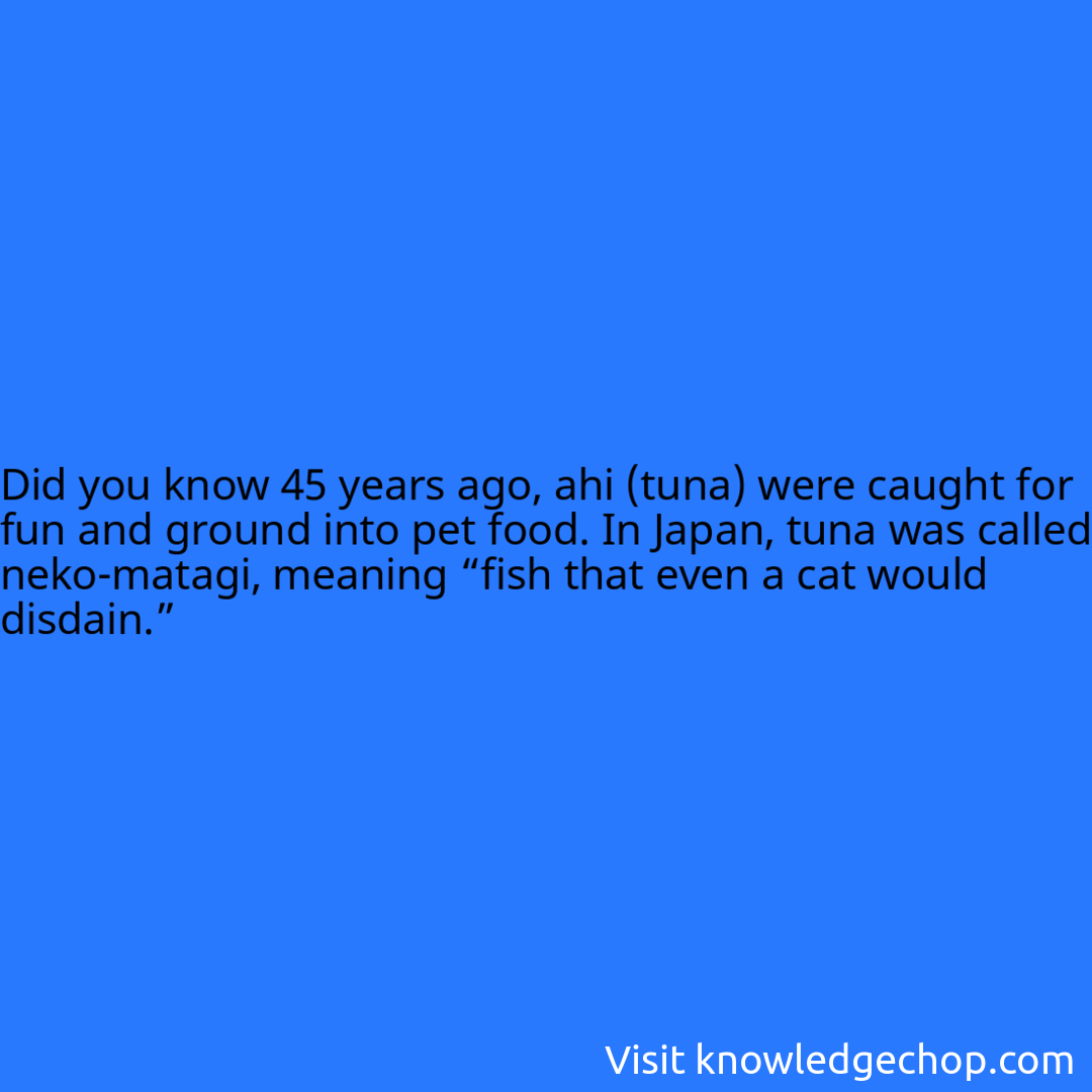 45 years ago, ahi (tuna) were caught for fun and ground into pet food. In Japan, tuna was called neko-matagi, meaning “fish that even a cat would disdain.”