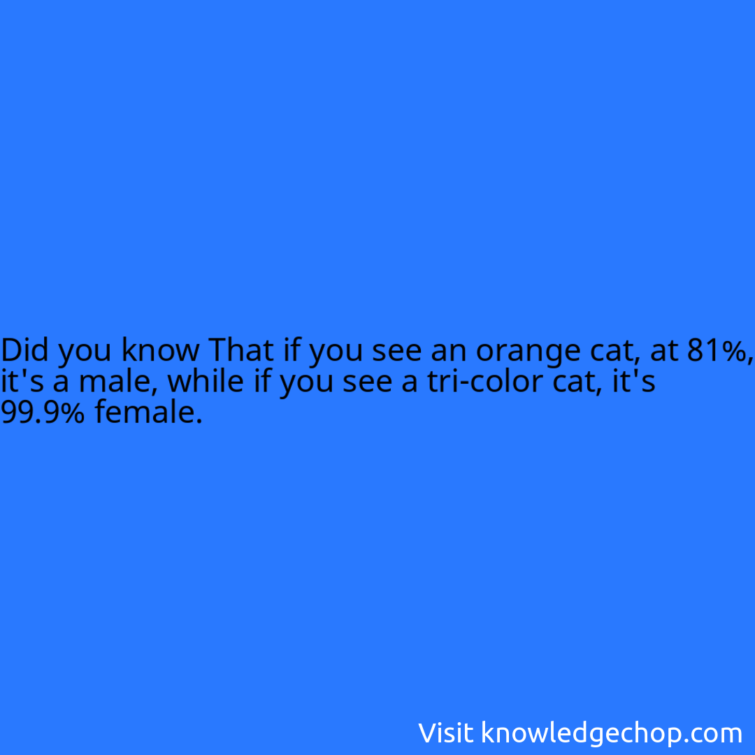 That if you see an orange cat, at 81%, it's a male, while if you see a tri-color cat, it's 99.9% female.