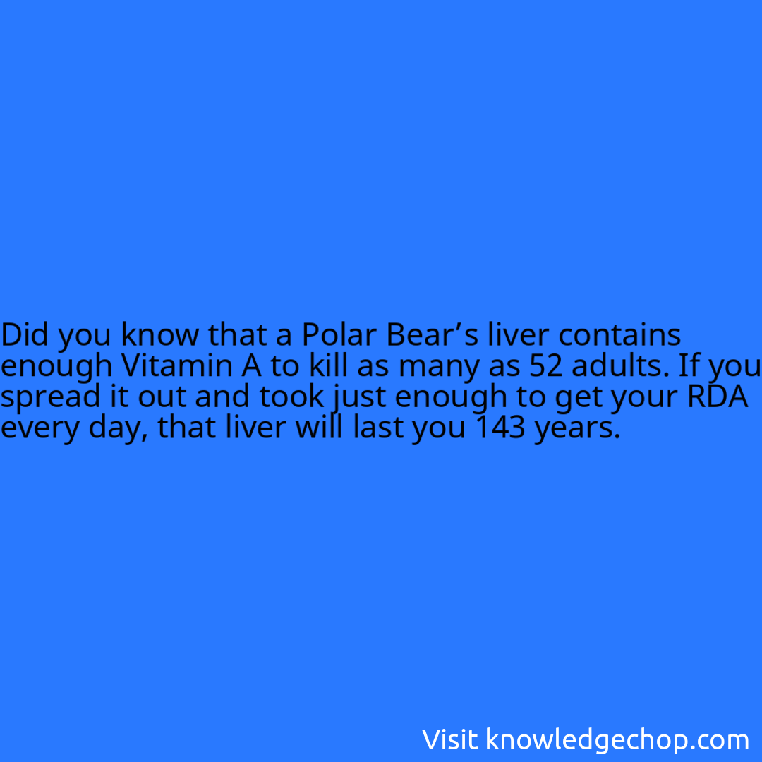 that a Polar Bear’s liver contains enough Vitamin A to kill as many as 52 adults. If you spread it out and took just enough to get your RDA every day, that liver will last you 143 years.