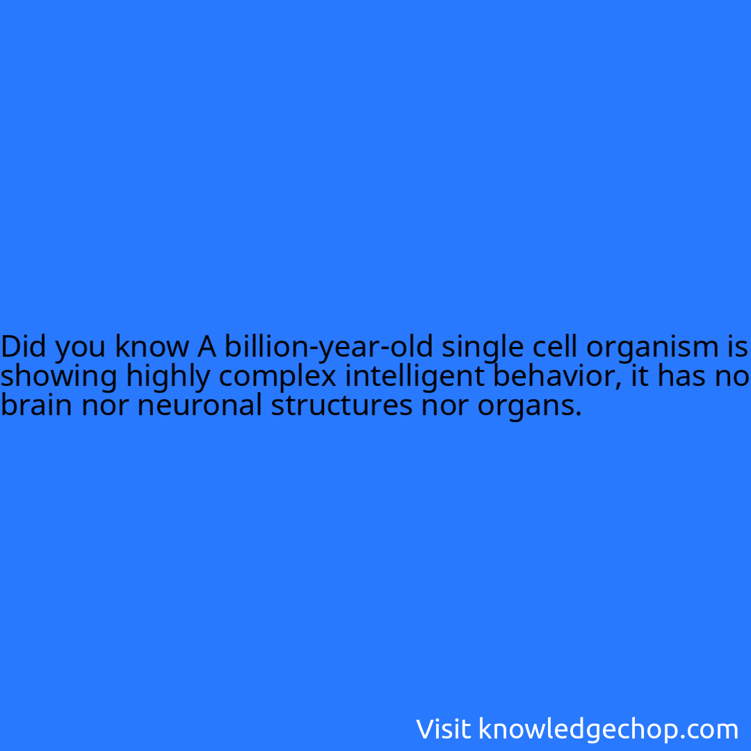 A billion-year-old single cell organism is showing highly complex intelligent behavior, it has no brain nor neuronal structures nor organs.