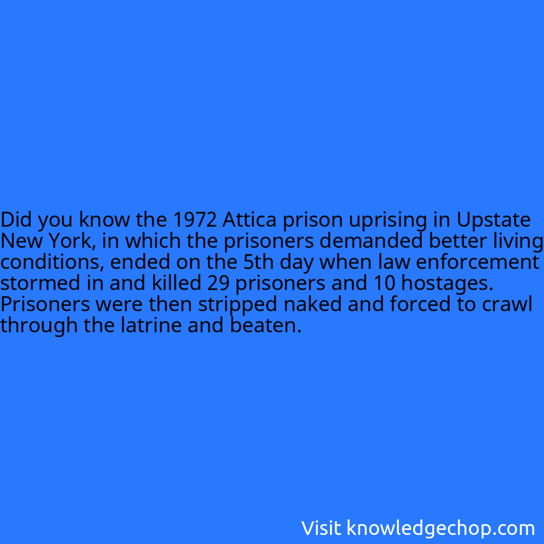 the 1972 Attica prison uprising in Upstate New York, in which the prisoners demanded better living conditions, ended on the 5th day when law enforcement stormed in and killed 29 prisoners and 10 hostages. Prisoners were then stripped naked and forced to crawl through the latrine and beaten.