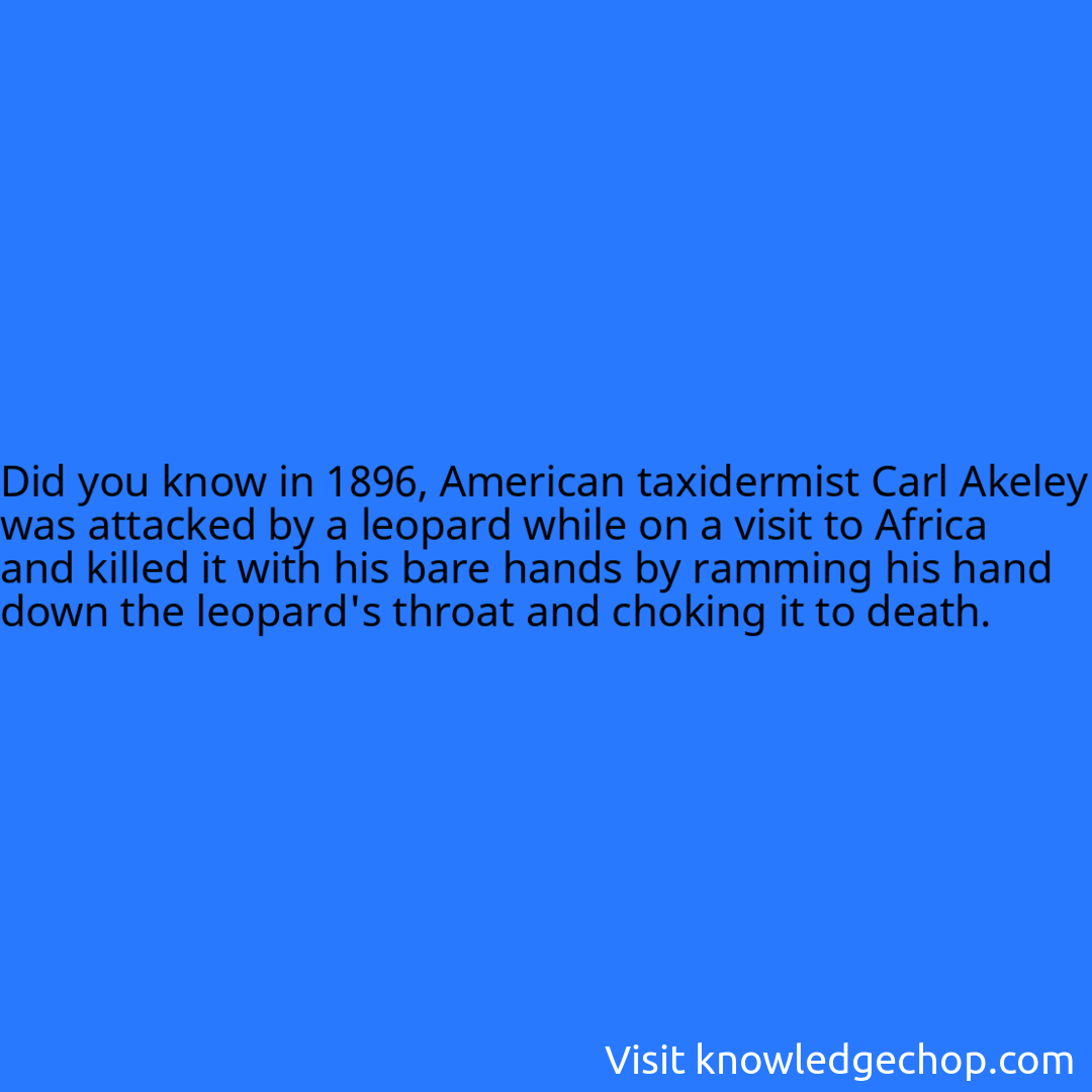 in 1896, American taxidermist Carl Akeley was attacked by a leopard while on a visit to Africa and killed it with his bare hands by ramming his hand down the leopard's throat and choking it to death.