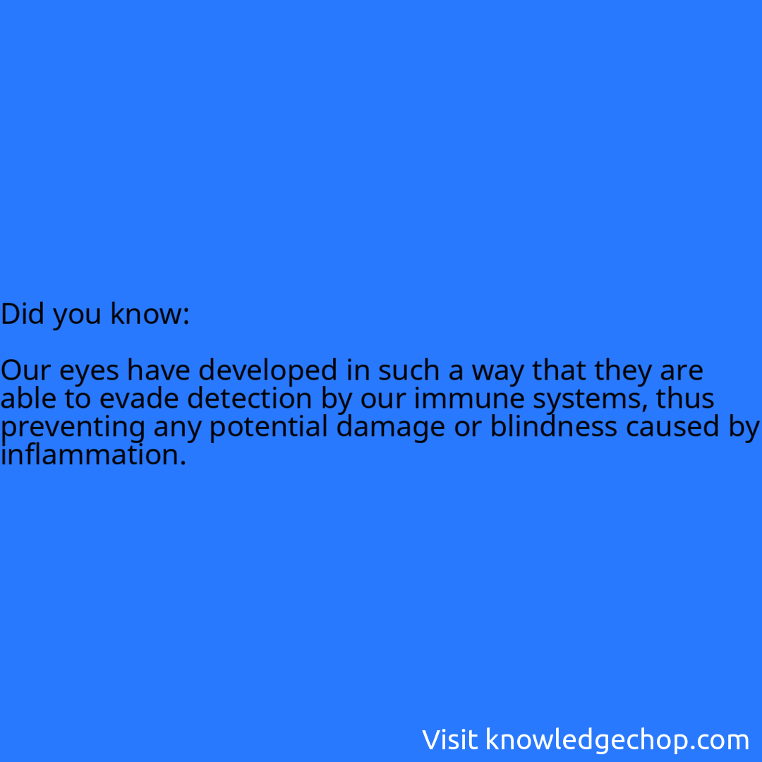   Our eyes have developed in such a way that they are able to evade detection by our immune systems, thus preventing any potential damage or blindness caused by inflammation.