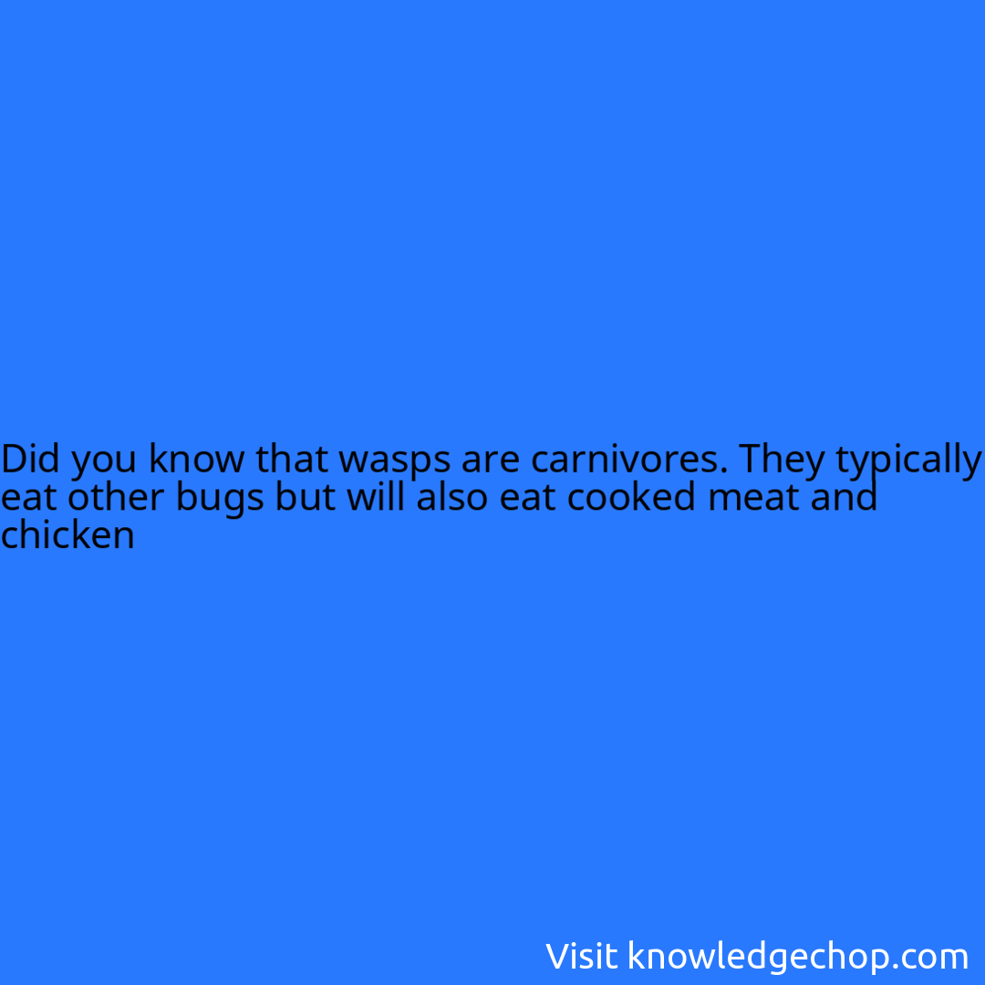 that wasps are carnivores. They typically eat other bugs but will also