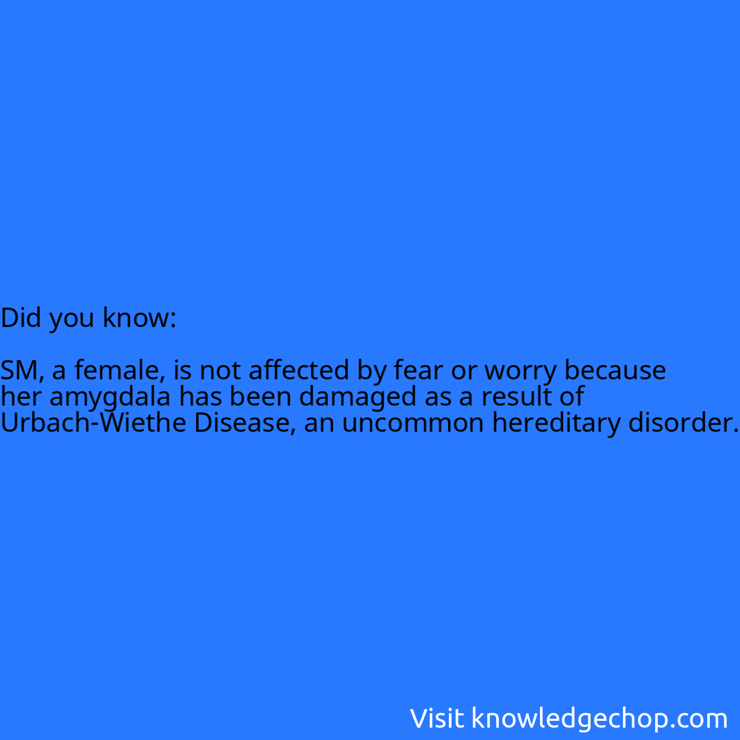   SM, a female, is not affected by fear or worry because her amygdala has been damaged as a result of Urbach-Wiethe Disease, an uncommon hereditary disorder.
