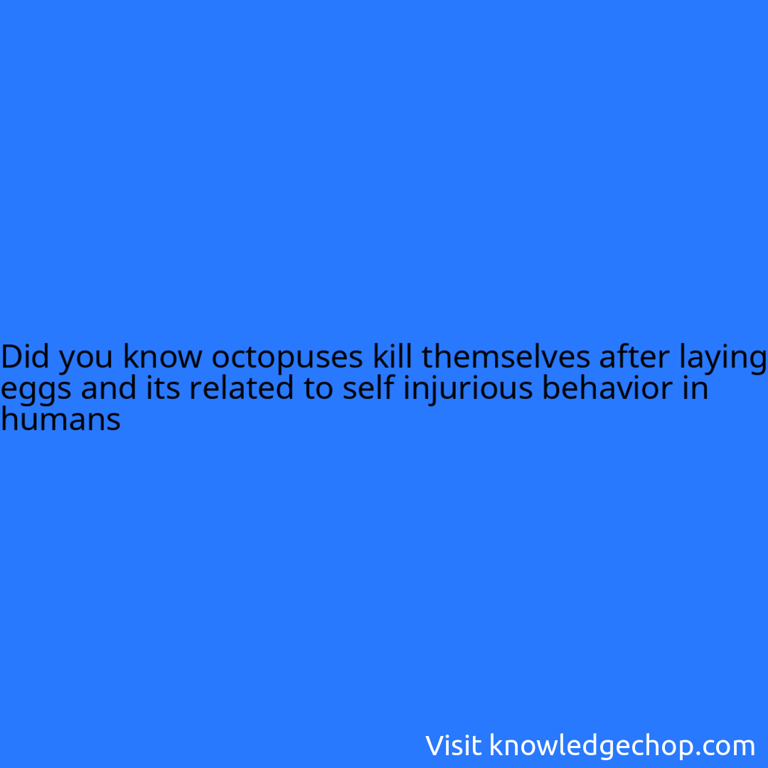 octopuses kill themselves after laying eggs and its related to self