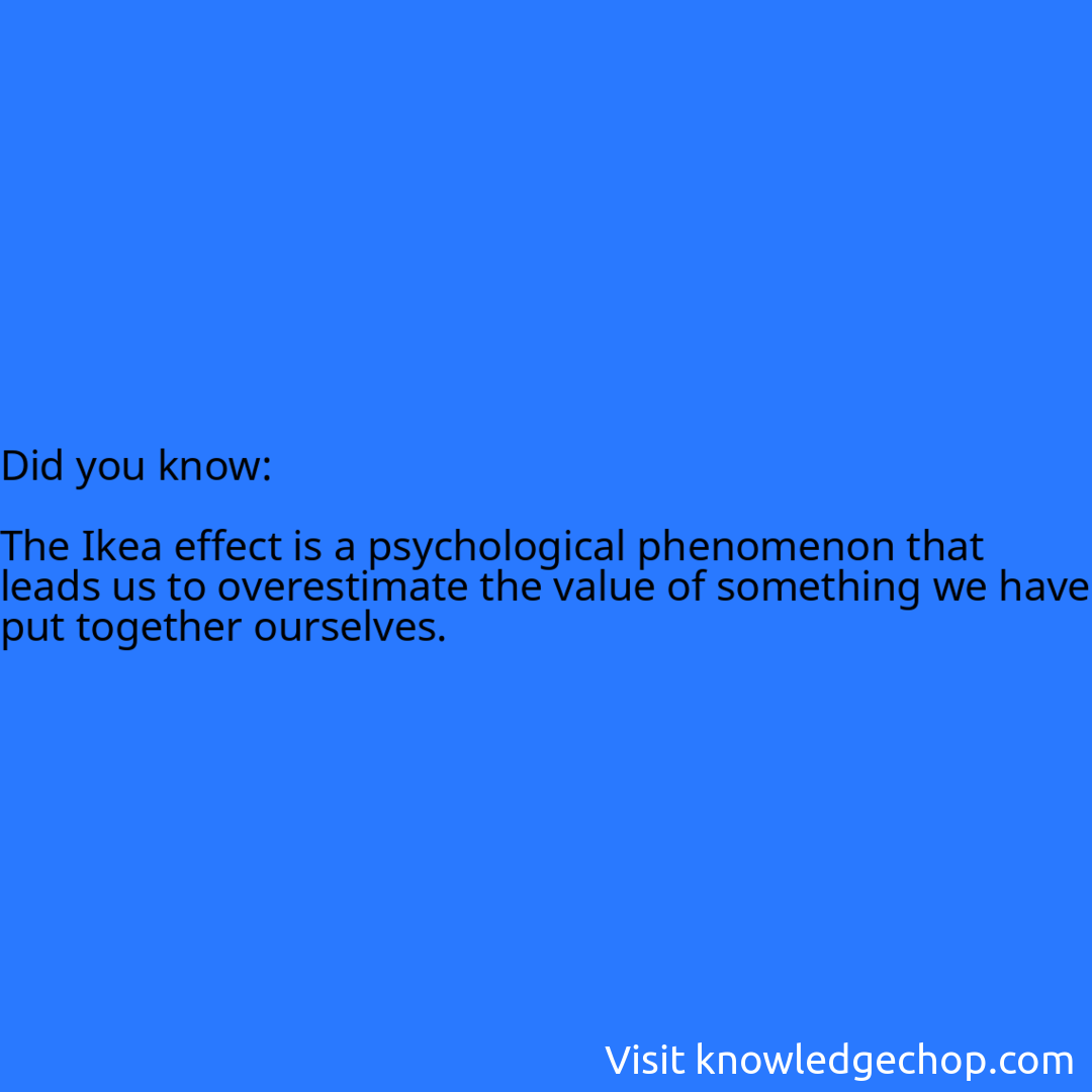   The Ikea effect is a psychological phenomenon that leads us to overestimate the value of something we have put together ourselves.
