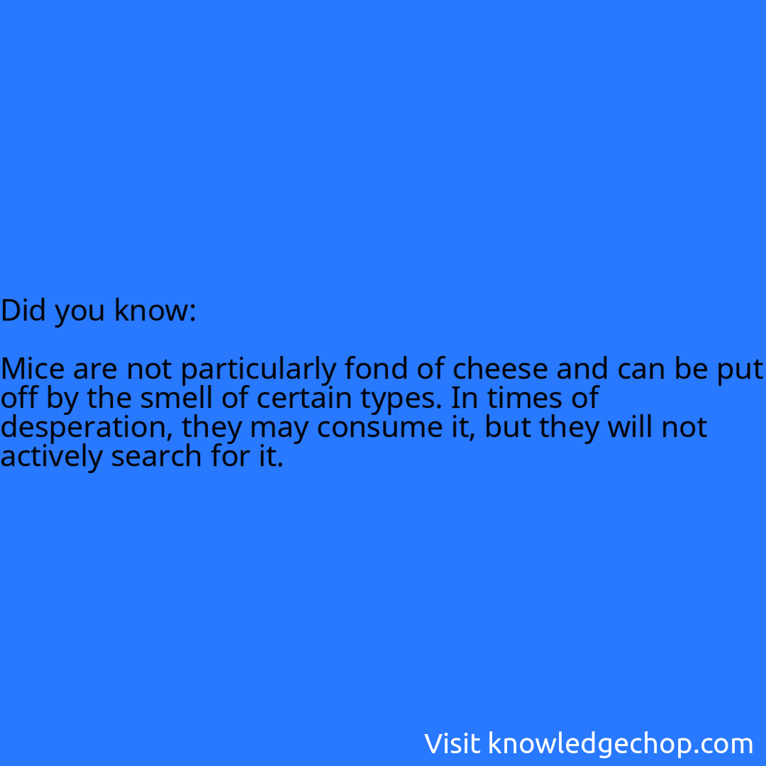   Mice are not particularly fond of cheese and can be put off by the smell of certain types. In times of desperation, they may consume it, but they will not actively search for it.