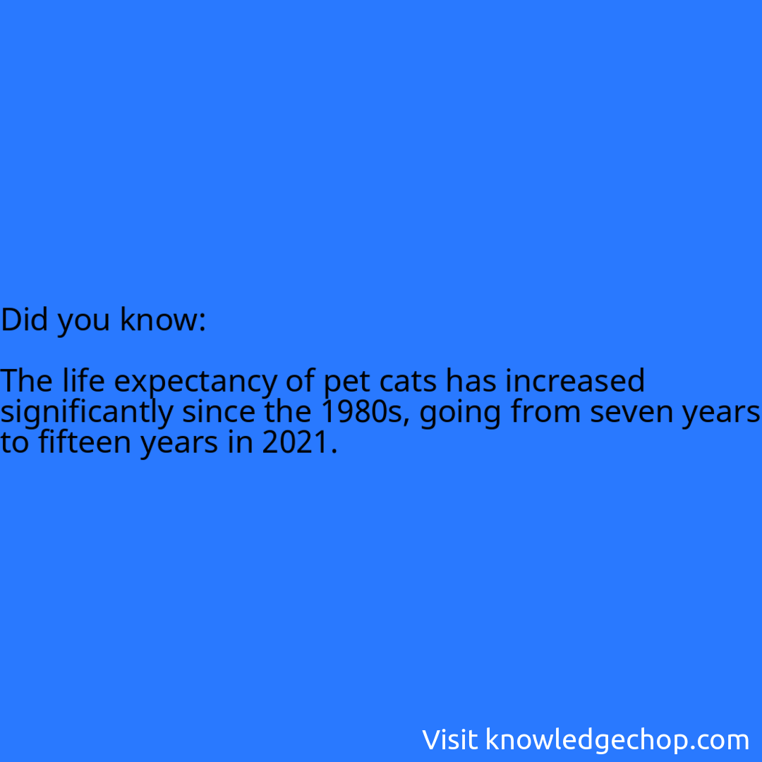   The life expectancy of pet cats has increased significantly since the 1980s, going from seven years to fifteen years in 2021.