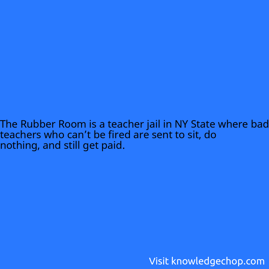 The Rubber Room is a teacher jail in NY State where bad teachers who can’t be fired are sent to sit, do nothing, and still get paid.