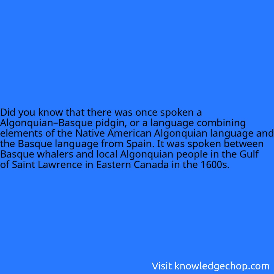 that there was once spoken a Algonquian–Basque pidgin, or a language combining elements of the Native American Algonquian language and the Basque language from Spain. It was spoken between Basque whalers and local Algonquian people in the Gulf of Saint Lawrence in Eastern Canada in the 1600s.