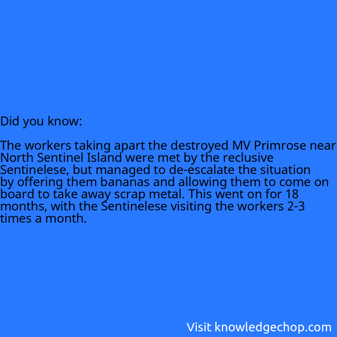   The workers taking apart the destroyed MV Primrose near North Sentinel Island were met by the reclusive Sentinelese, but managed to de-escalate the situation by offering them bananas and allowing them to come on board to take away scrap metal. This went on for 18 months, with the Sentinelese visiting the workers 2-3 times a month.