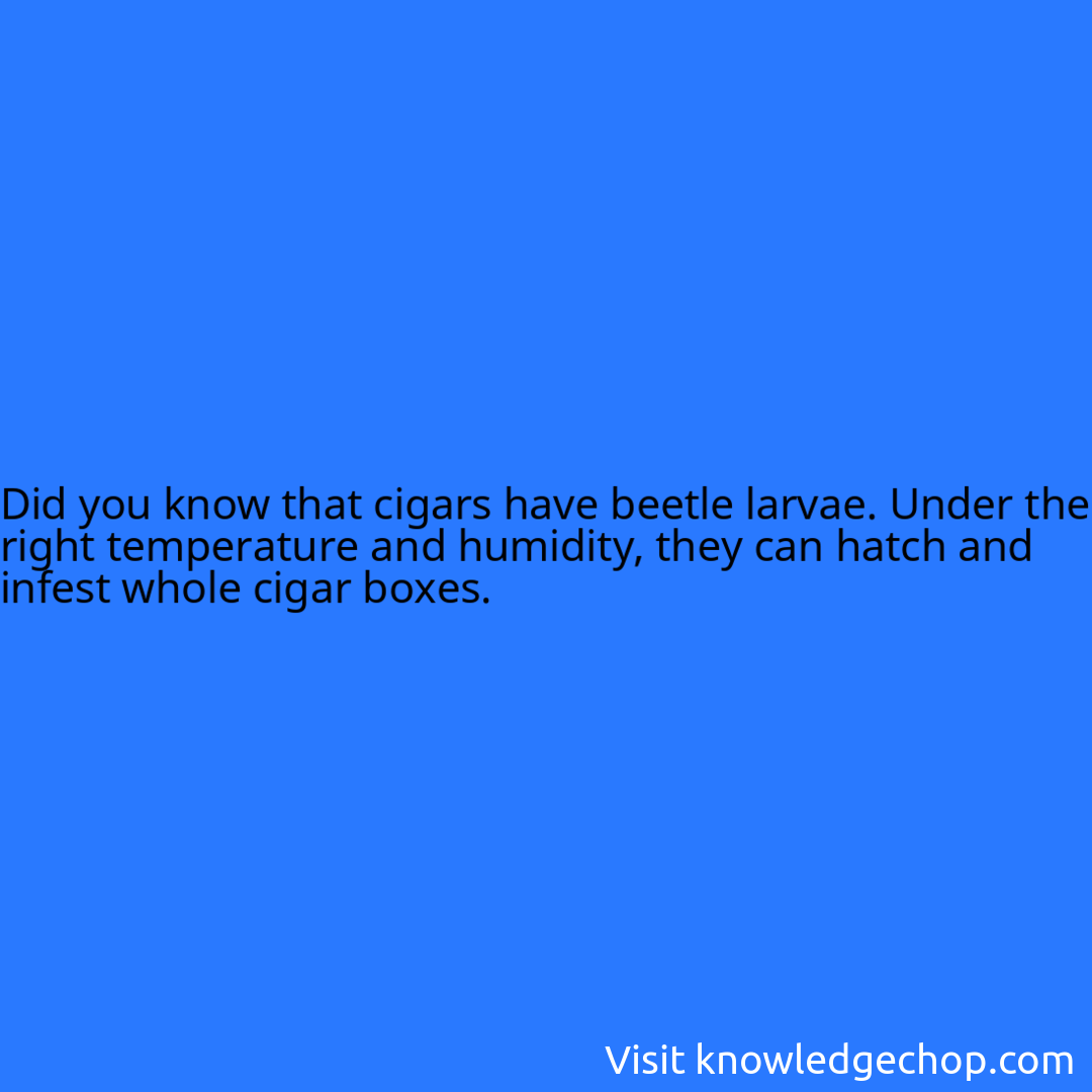 that cigars have beetle larvae. Under the right temperature and