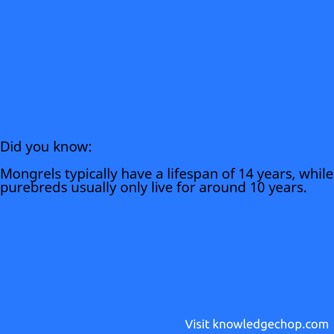   Mongrels typically have a lifespan of 14 years, while purebreds usually only live for around 10 years.