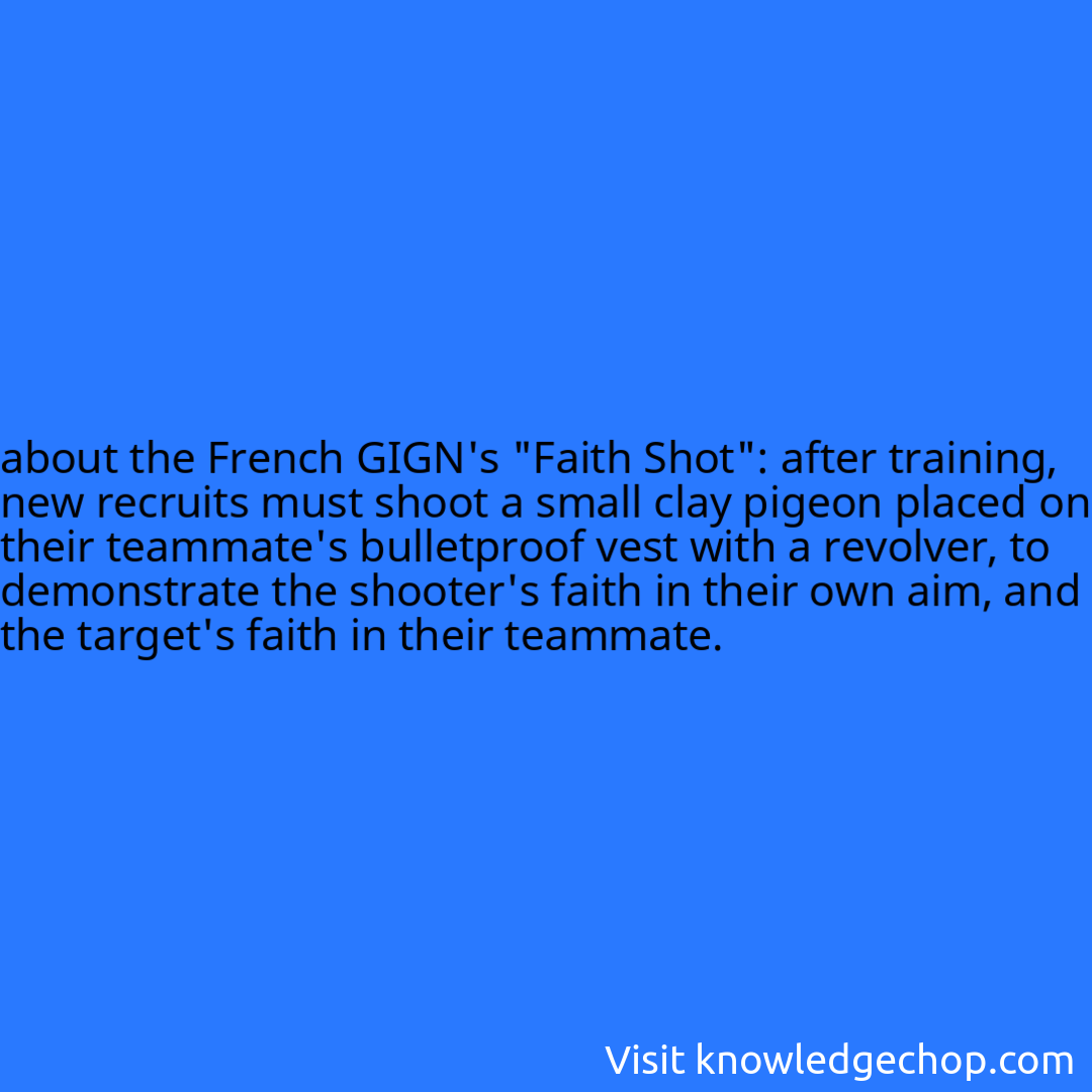 about the French GIGN's 