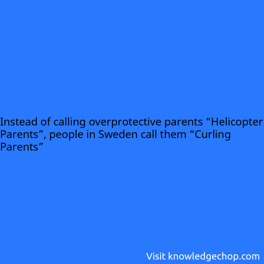 Instead of calling overprotective parents “Helicopter Parents”, people ...