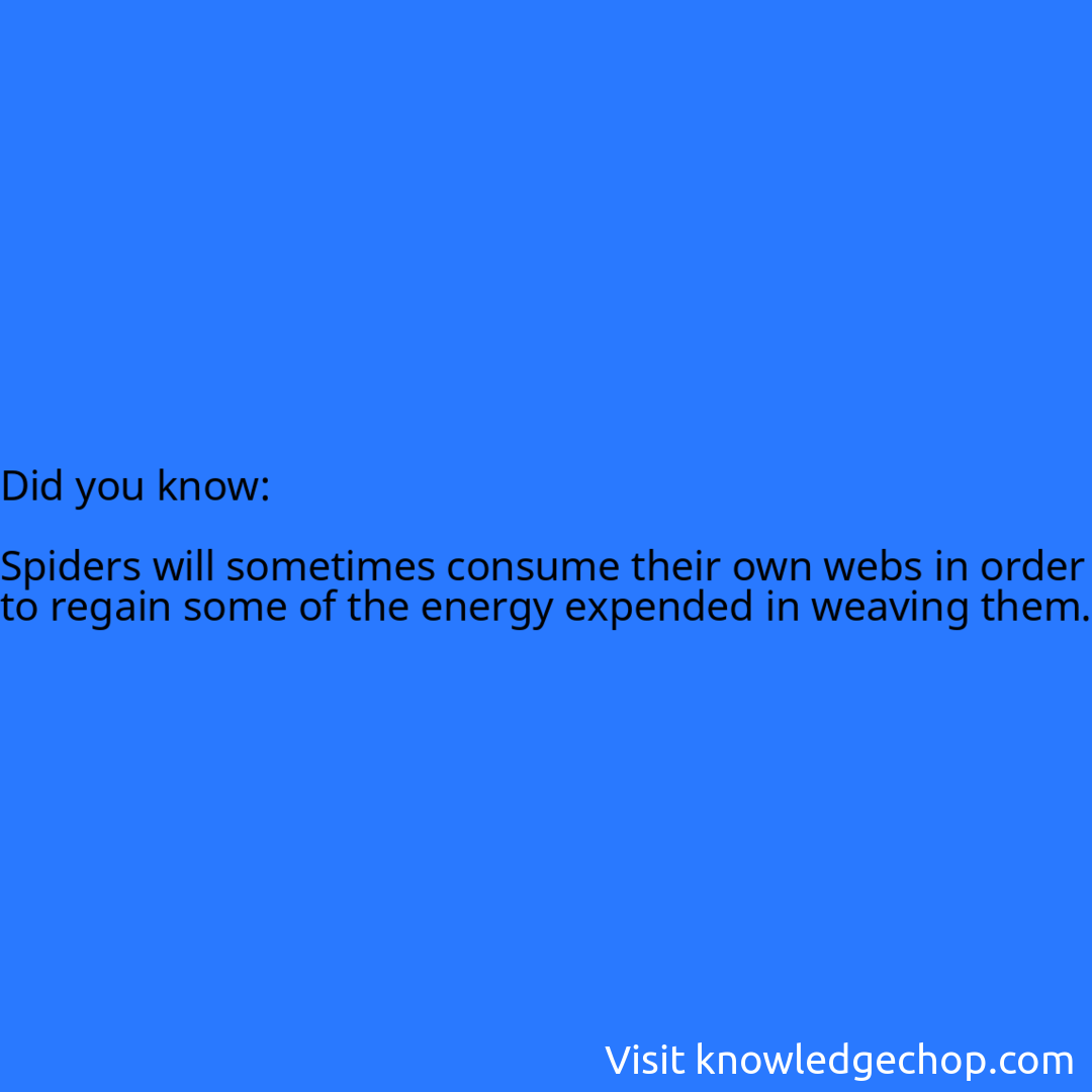   Spiders will sometimes consume their own webs in order to regain some of the energy expended in weaving them.